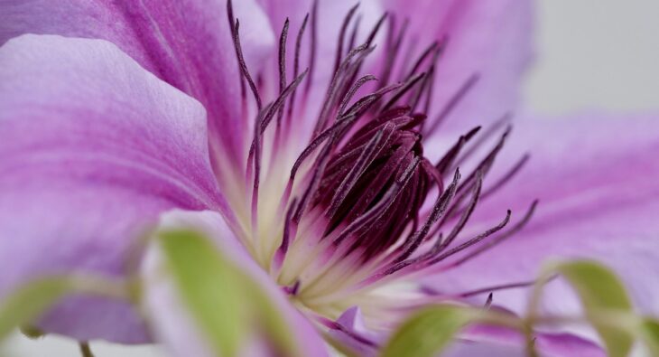 Wybór idealnej klimatyzacji do mieszkania – zaskakujące porady i rekomendacje ekspertów!